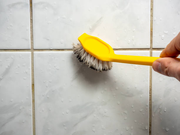Lake Winnebago, MO Mold Removal Company